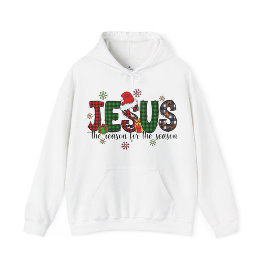 JESUS the Reason for the Season Hoodie